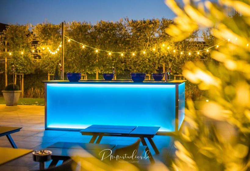 Отель Driekoningen