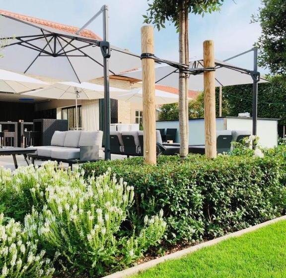 Отель Driekoningen