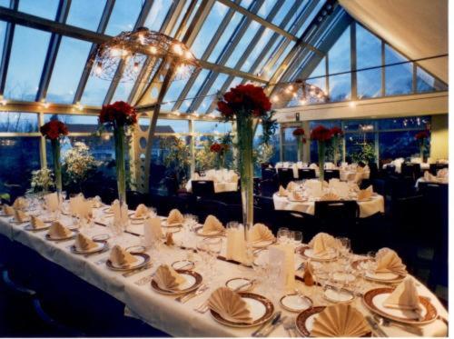 Отель Driekoningen