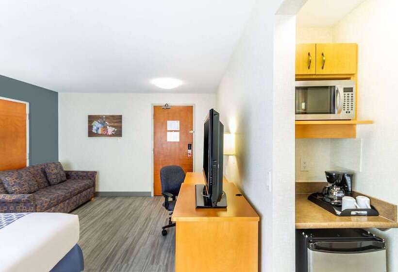 בית מלון כפרי Econo Lodge Inn & Suites University