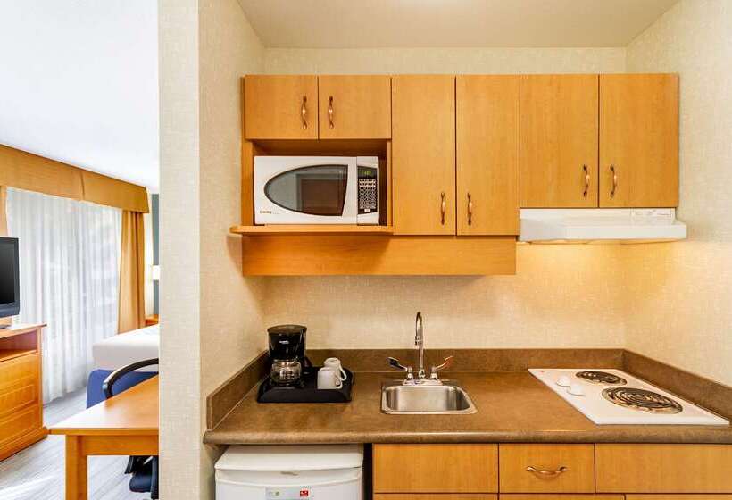 בית מלון כפרי Econo Lodge Inn & Suites University