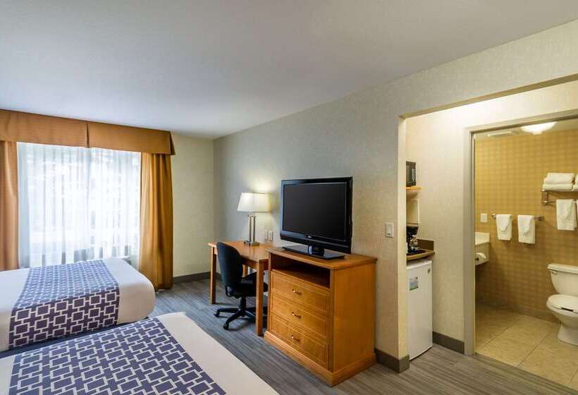 בית מלון כפרי Econo Lodge Inn & Suites University