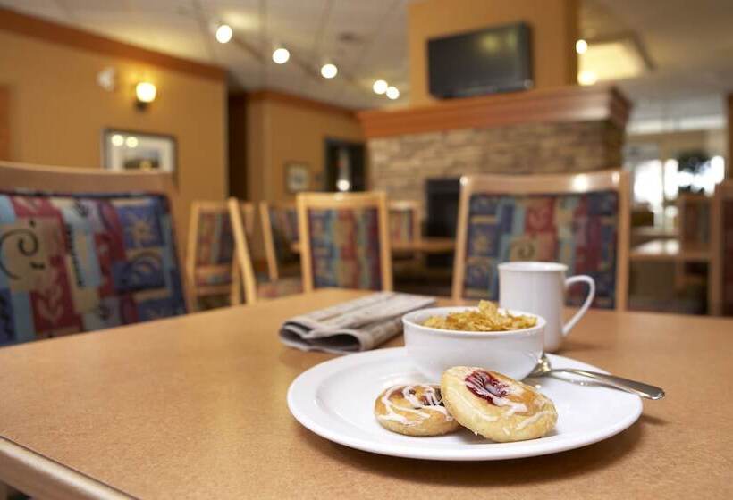 בית מלון כפרי Econo Lodge Inn & Suites University