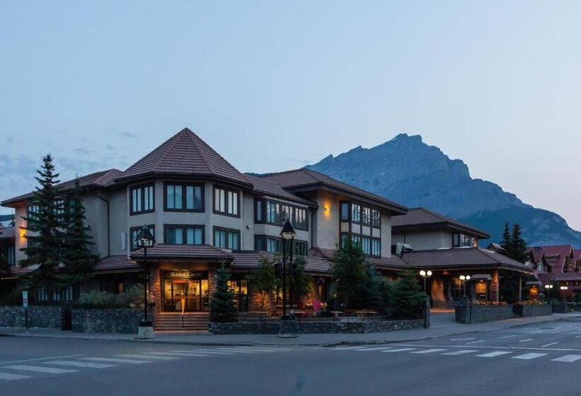 Отель Elk + Avenue