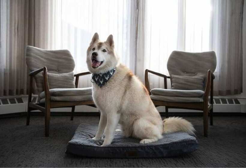 Отель Elk + Avenue