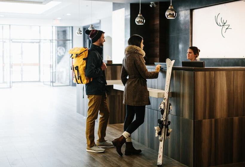 Отель Elk + Avenue