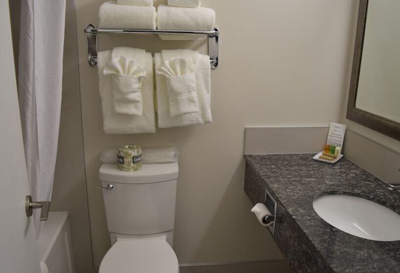 فندق Guest House Inn & Suites