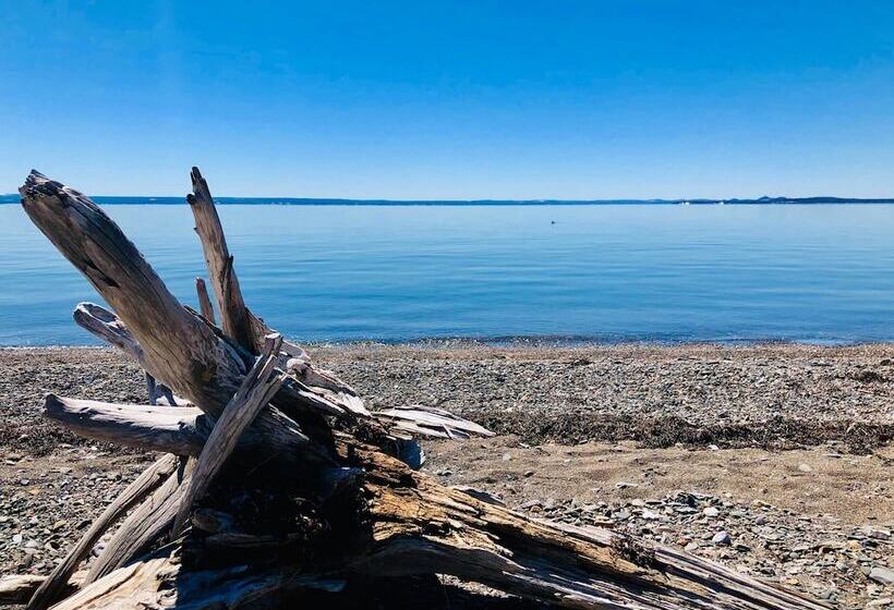 Отель Riôtel Carleton Sur Mer