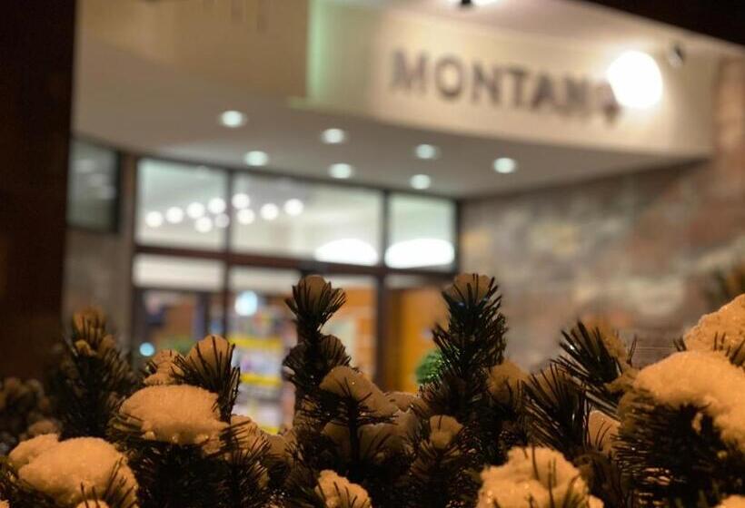 Interhotel Montana