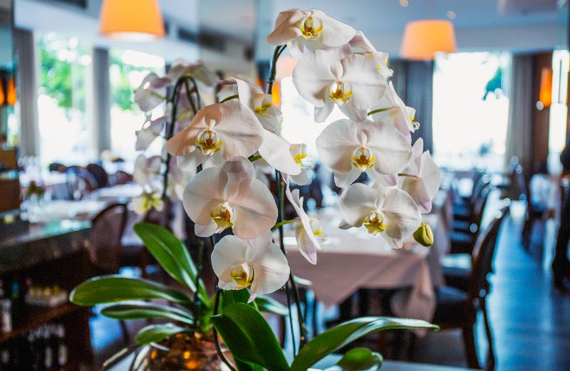 호텔 Miramar by Windsor Copacabana