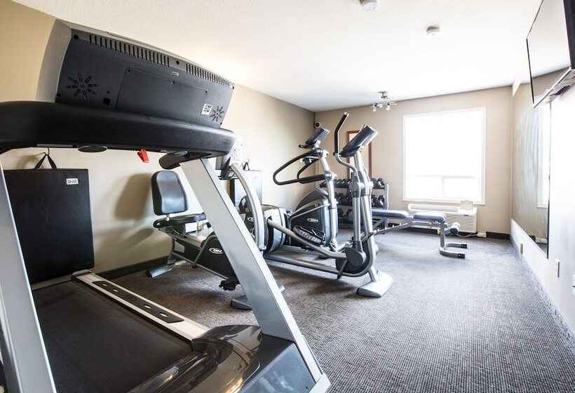 Nomad Hotel & Suites