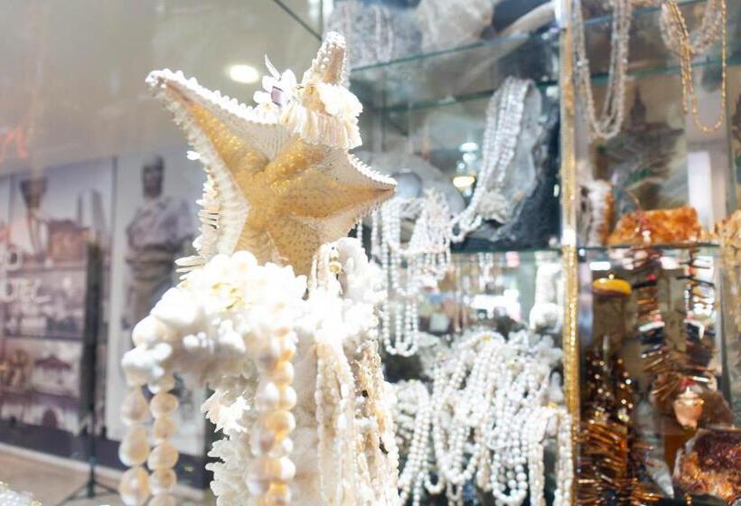 호텔 Plaza São Rafael