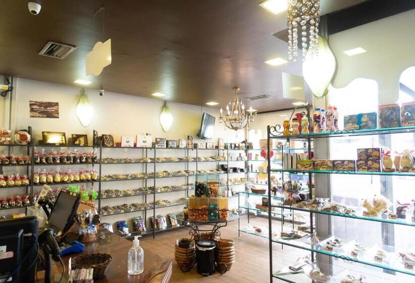 호텔 Plaza São Rafael