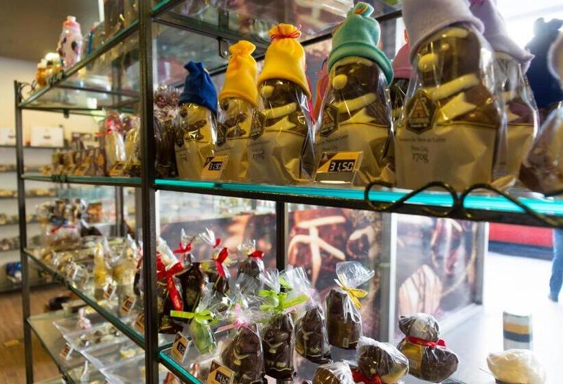 호텔 Plaza São Rafael