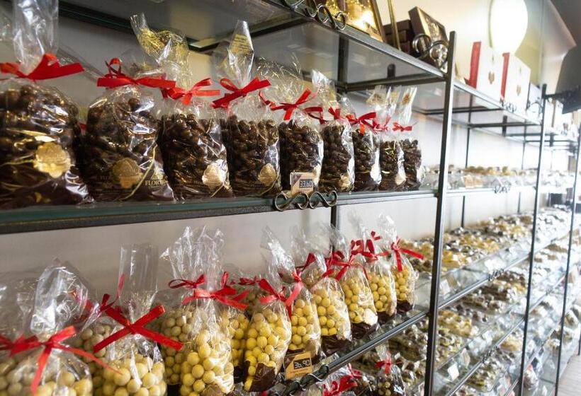 호텔 Plaza São Rafael