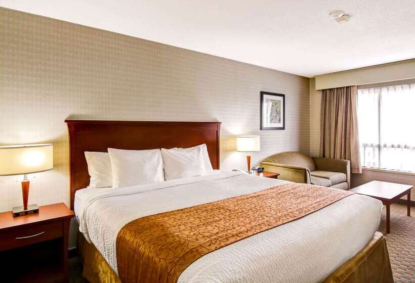 فندق Quality Inn