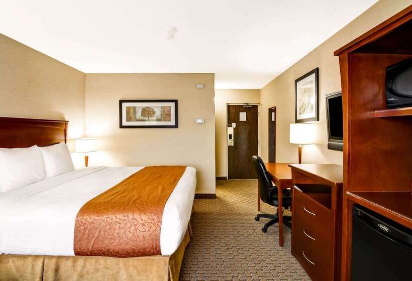 فندق Quality Inn