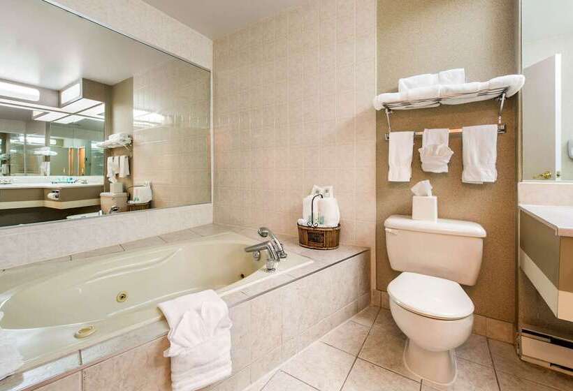 فندق Quality Inn & Suites Gatineau