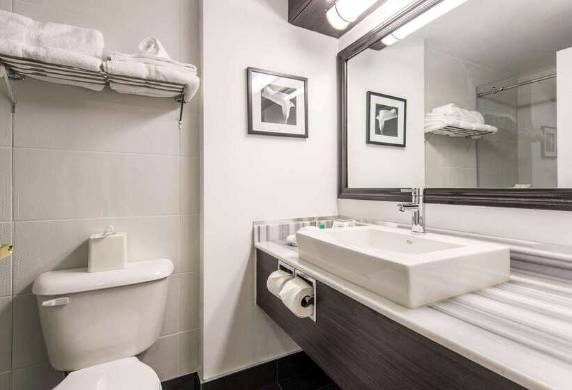 فندق Quality Inn & Suites Gatineau