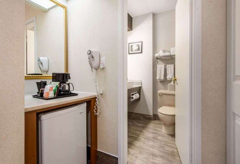 فندق Quality Inn & Suites Gatineau