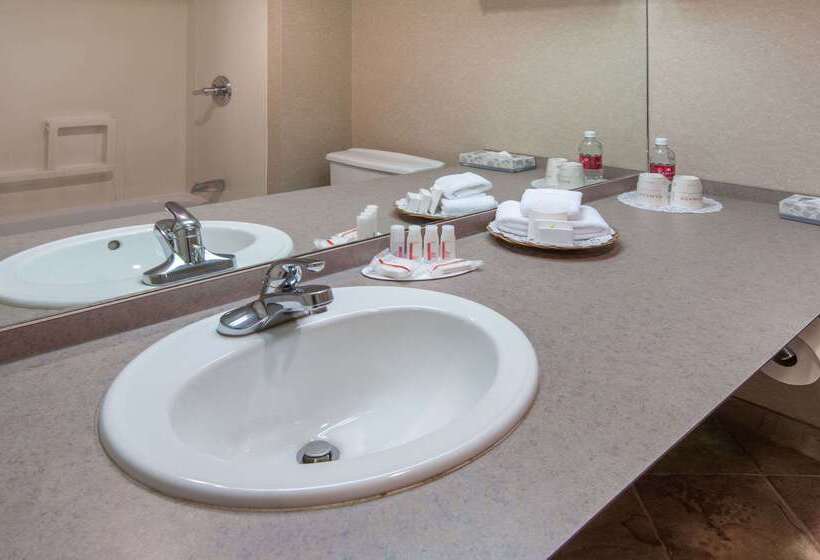 בית מלון כפרי Ramada Plaza By Wyndham Calgary Downtown