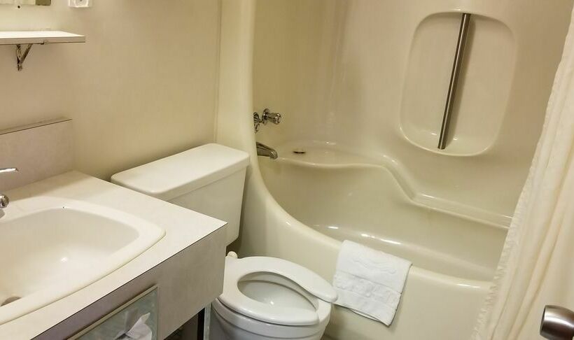 酒店 Redwood Motor Inn