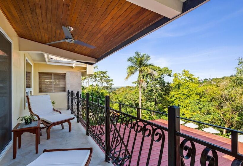 فندق San Ignacio Resort