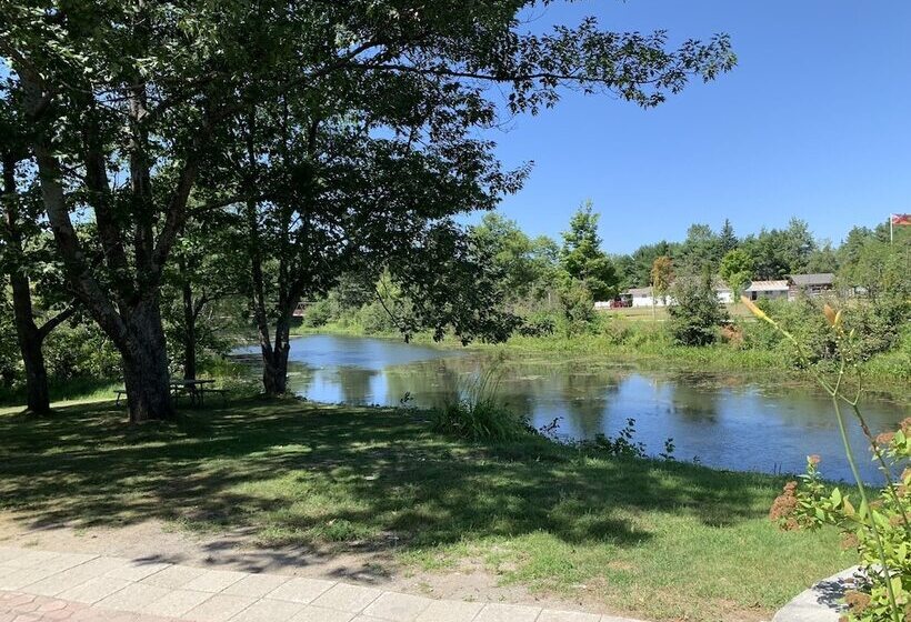 فندق Sword Inn Bancroft