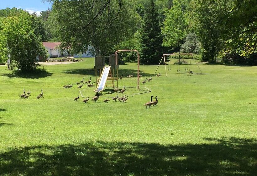 فندق Sword Inn Bancroft