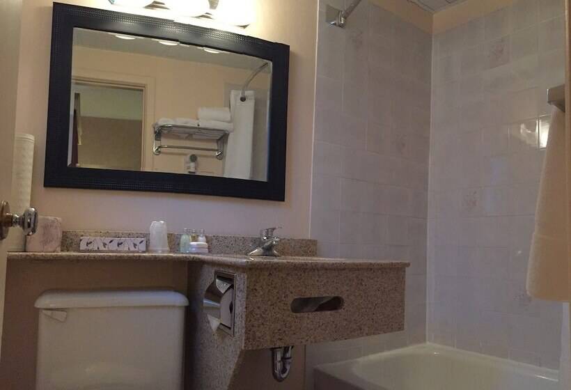 فندق Sword Inn Bancroft