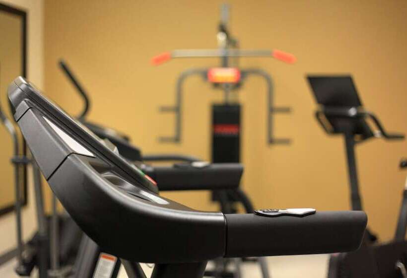 فندق Universel Alma