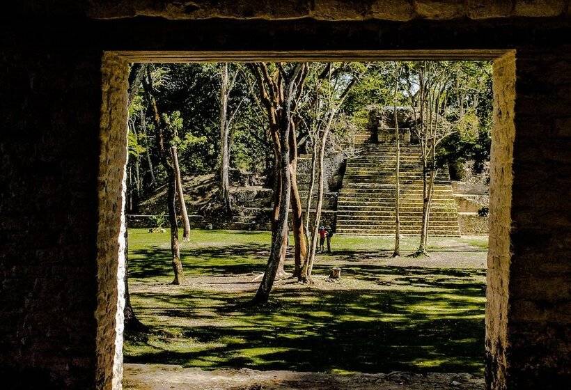 אתר נופש The Lodge At Chaacreek