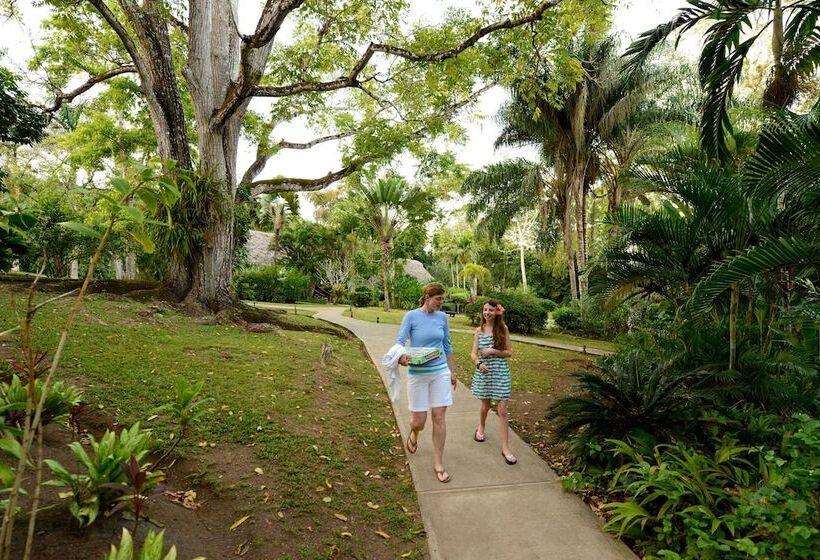 אתר נופש The Lodge At Chaacreek