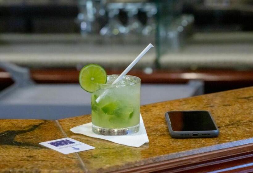 Rio Aeroporto Hotel Galeão