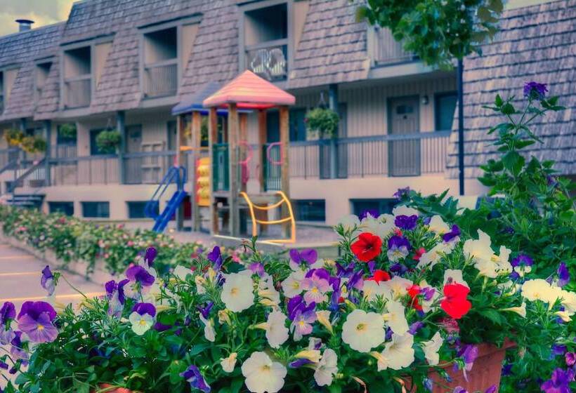 Tunnel Mountain Resort