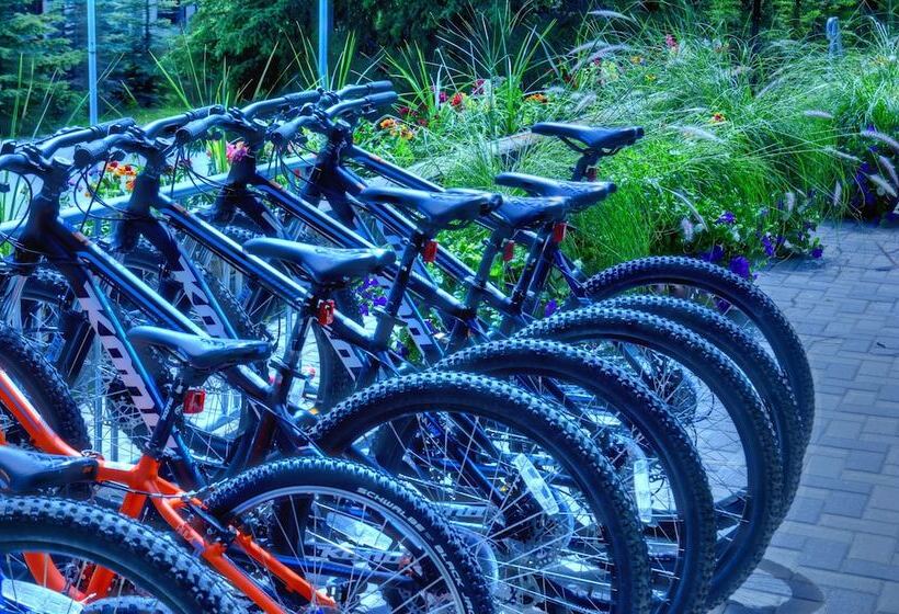 Tunnel Mountain Resort