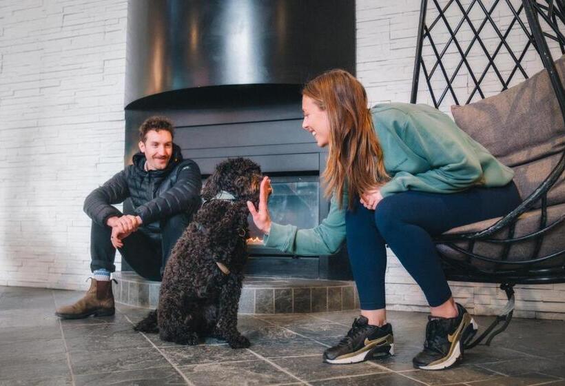 酒店 Aava Whistler