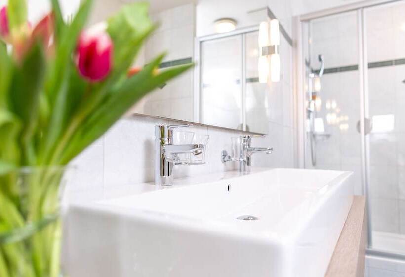 Отель Alexander