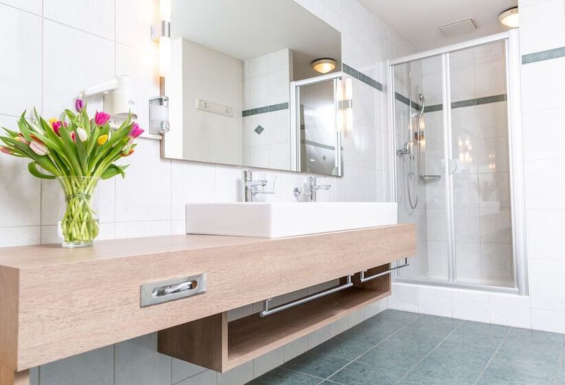 Отель Alexander