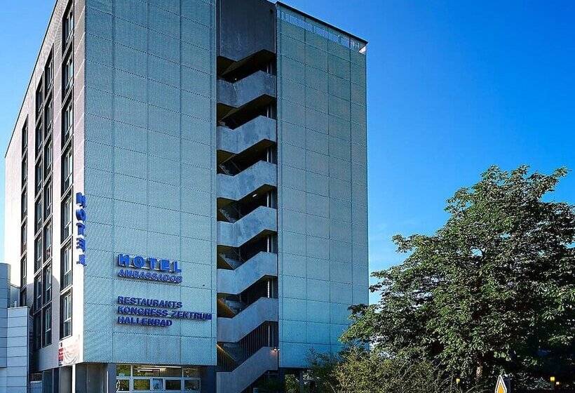 בית מלון כפרי Ambassador