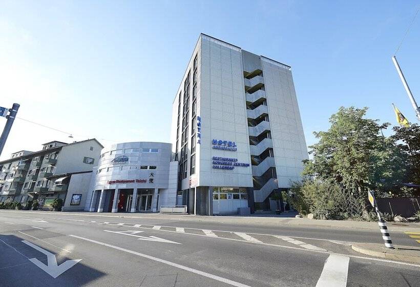 בית מלון כפרי Ambassador