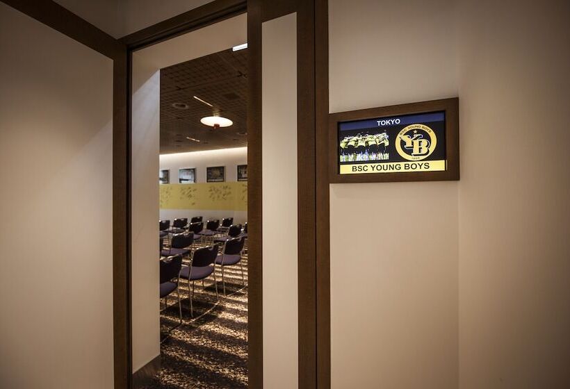 בית מלון כפרי Ambassador