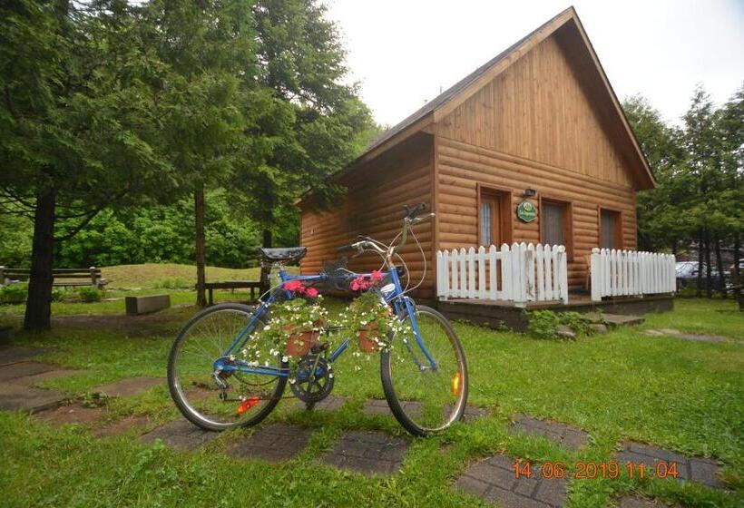 酒店 Auberge Alpine Inn