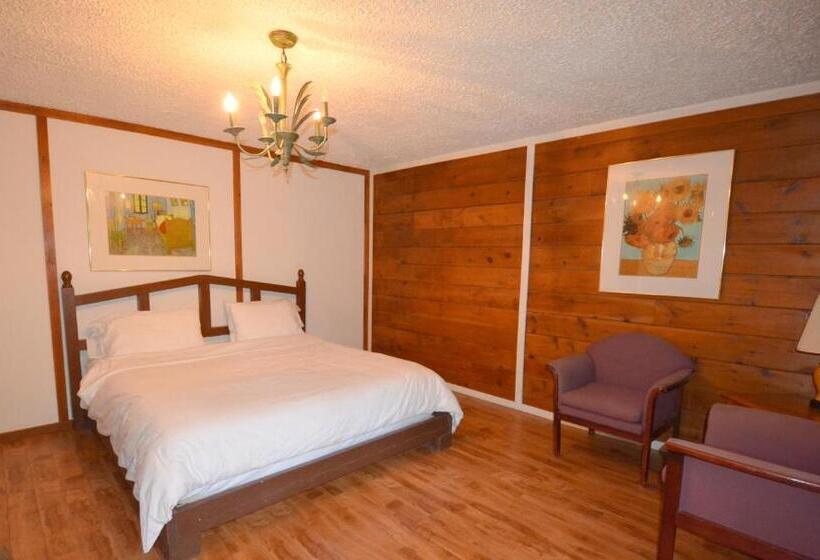 酒店 Auberge Alpine Inn