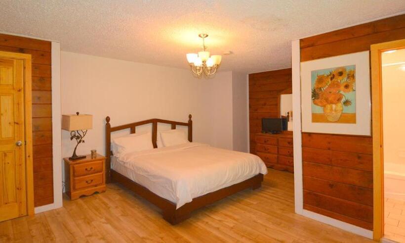 酒店 Auberge Alpine Inn