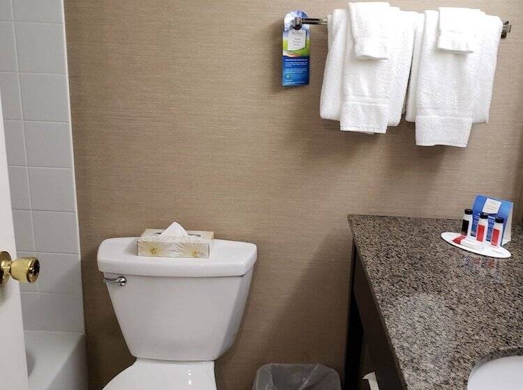 酒店 Baymont By Wyndham Red Deer