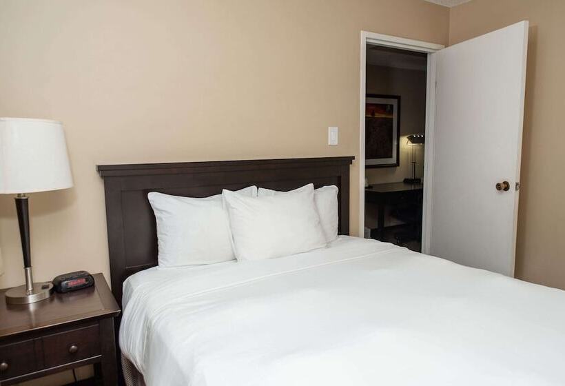 酒店 Baymont By Wyndham Red Deer