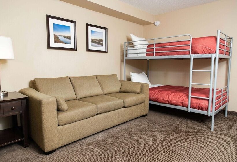 酒店 Baymont By Wyndham Red Deer