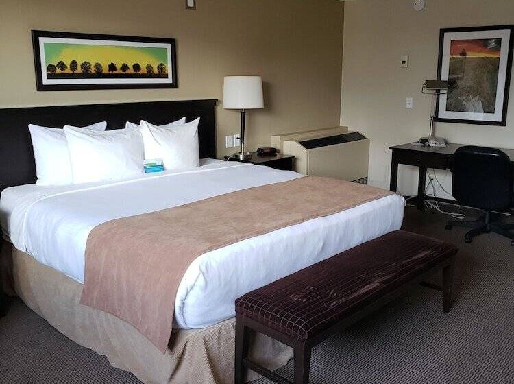 酒店 Baymont By Wyndham Red Deer