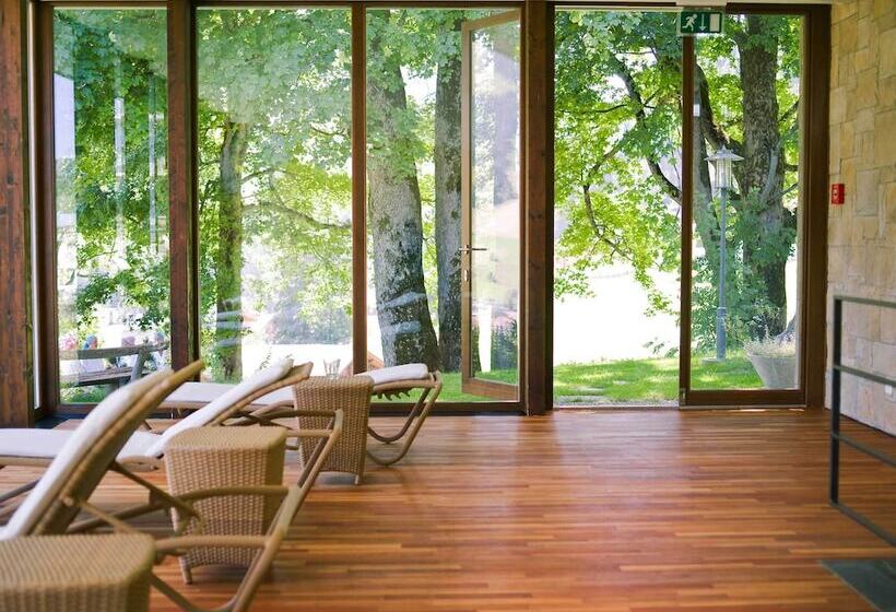 Bellevue Parkhotel & Spa   Relais & Châteaux